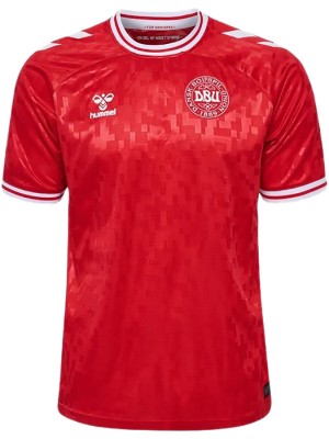 Denmark home jersey soccer uniform men's first sportswear football kit top shirt Euro 2024 cup